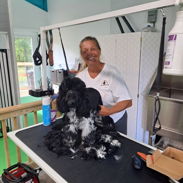 Premier Dog Boarding Services at Ruff N Tumble Acres